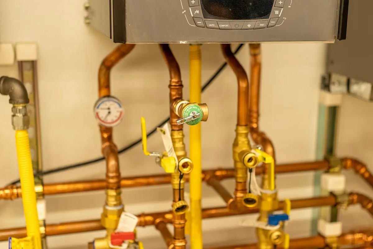 Licensed technician providing Emergency Plumbing for a homeowner in Bellingham